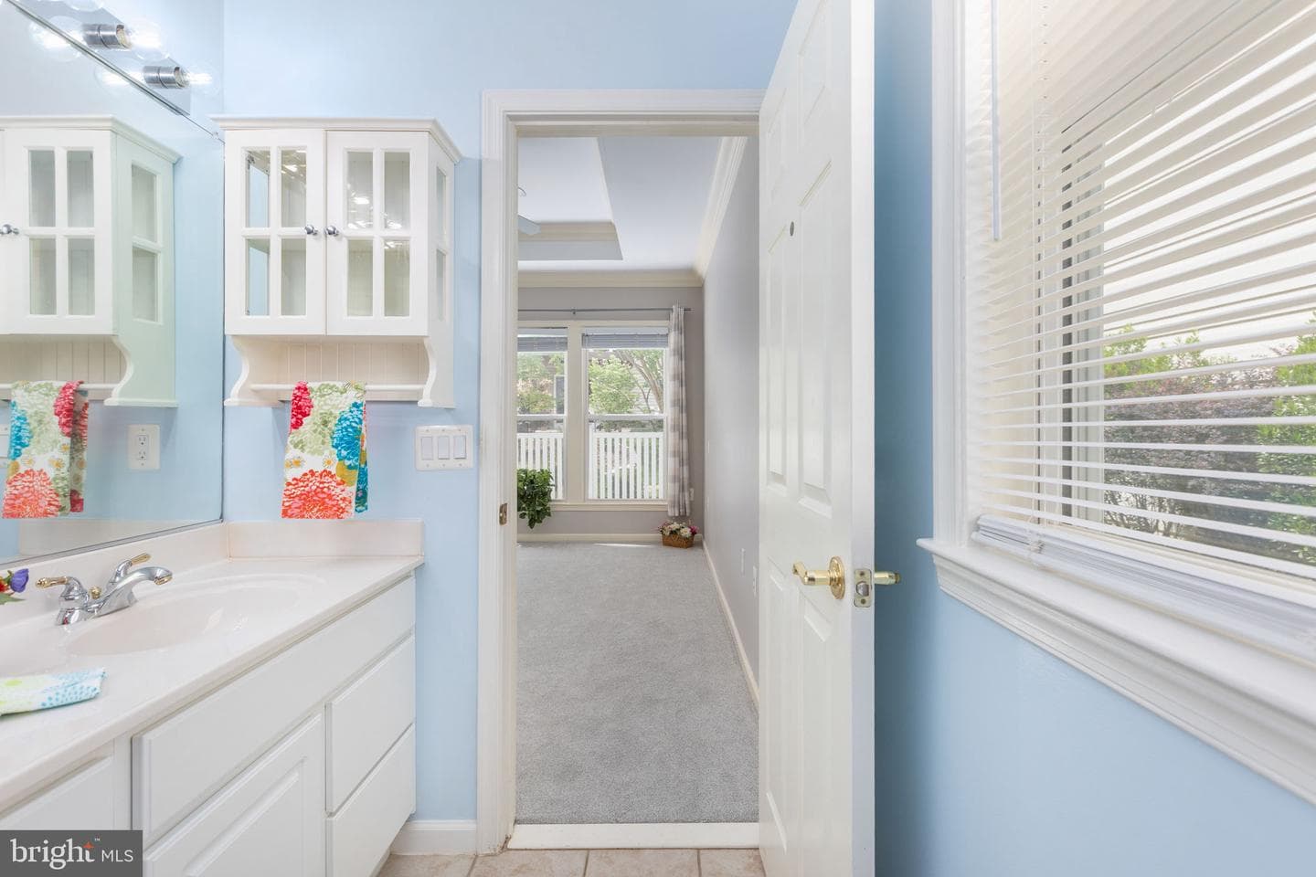 12 Hanover Drive photo 68