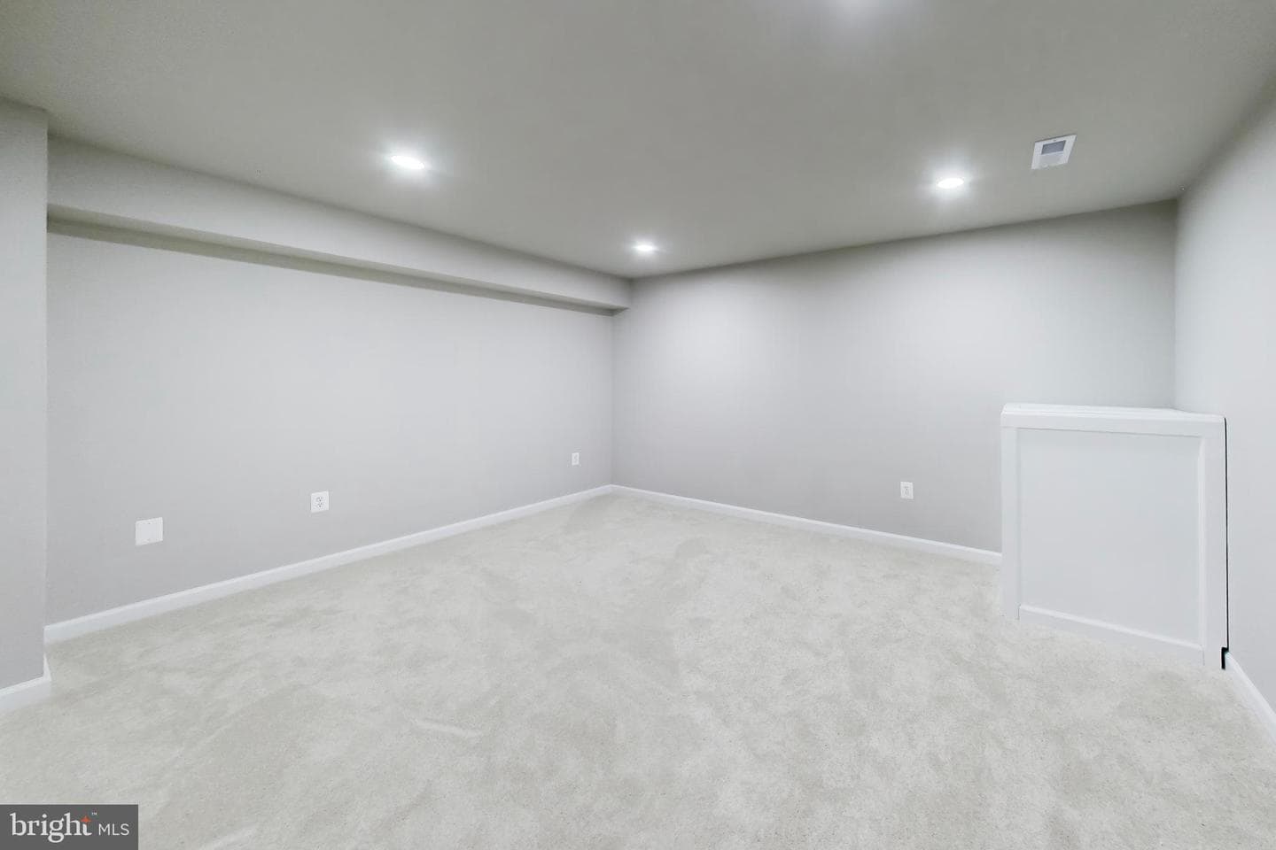 11 Danbury Forest Lane photo 54