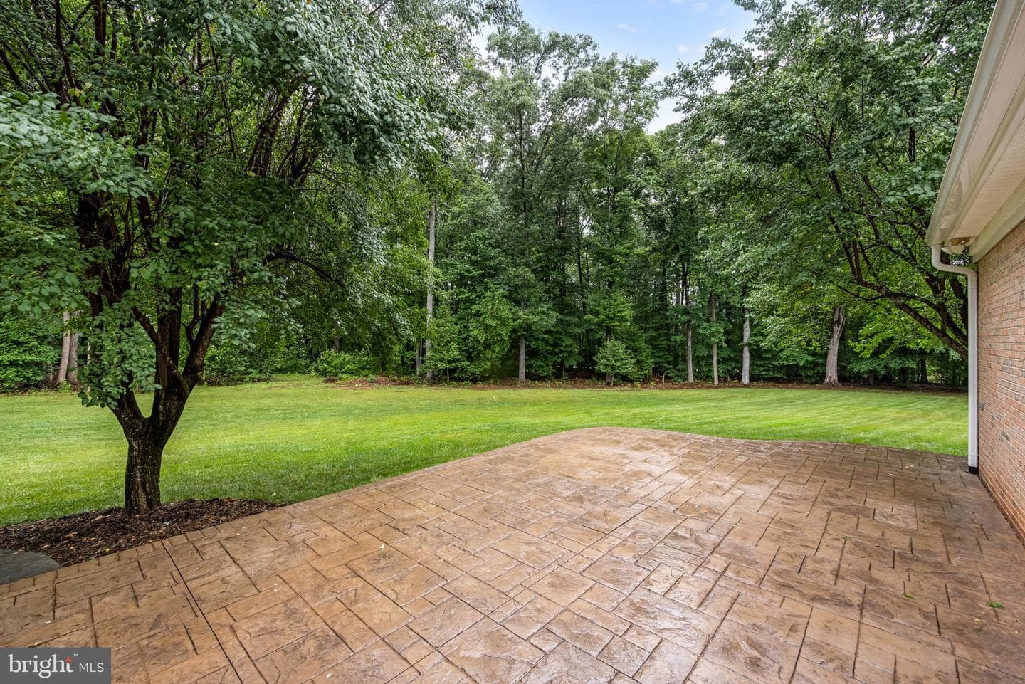 2 Abel Drive photo 57