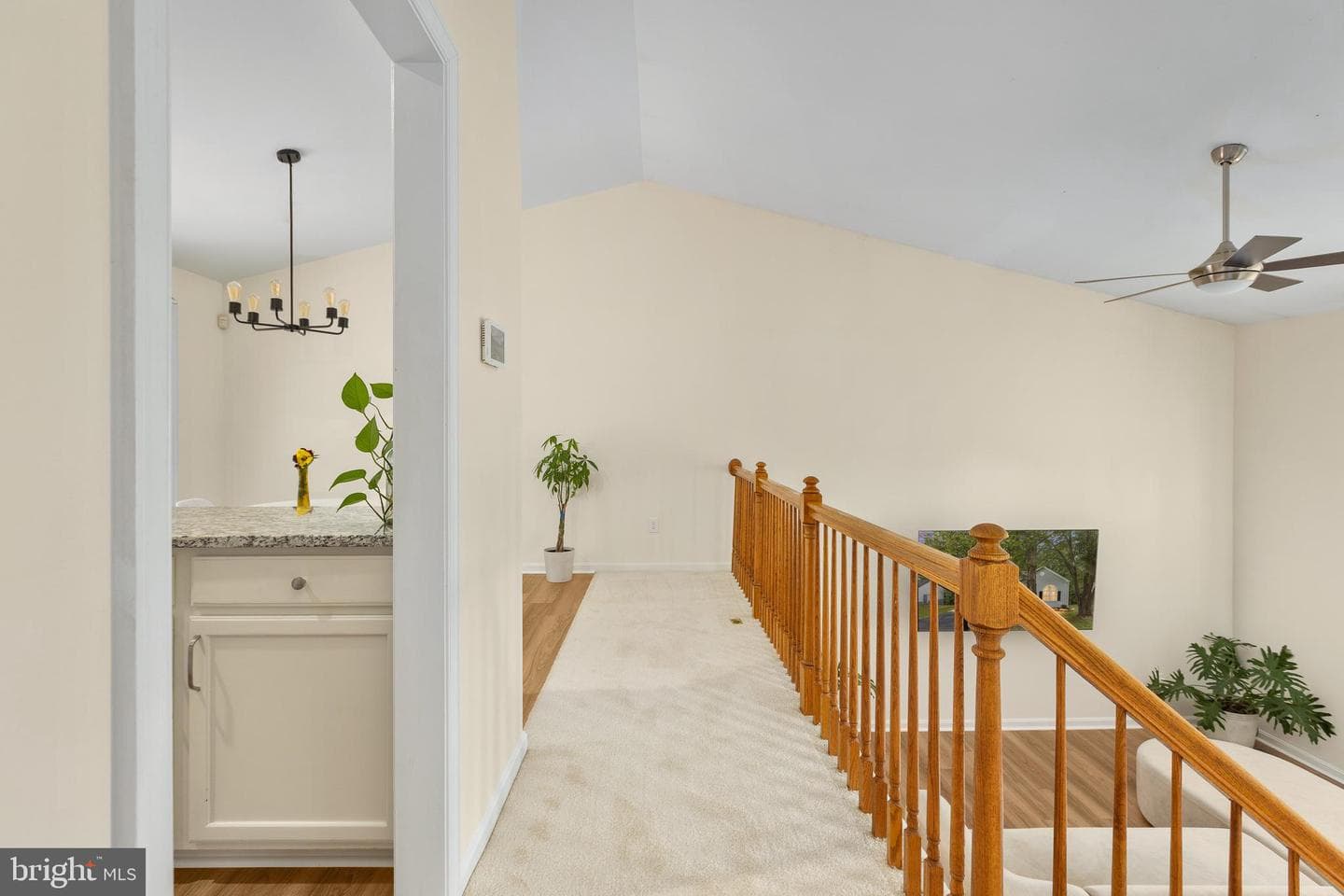 43 Cherry Laurel Drive photo 19