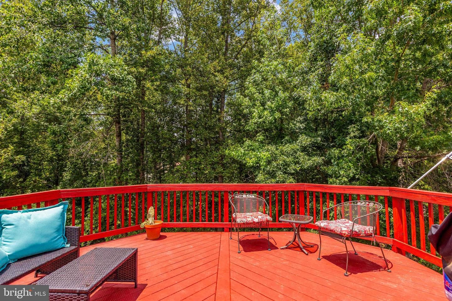 43 Cherry Laurel Drive photo 56