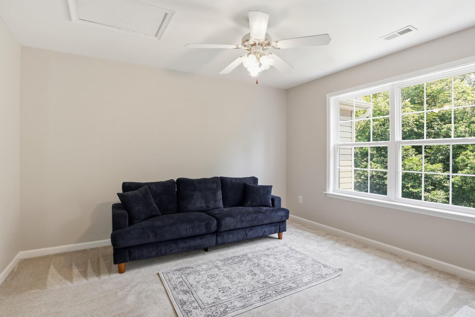 28 Millbrook Road photo 41
