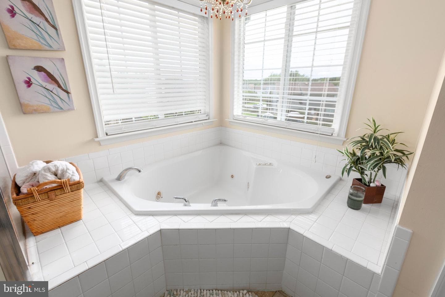 50 Hamstead Road photo 30
