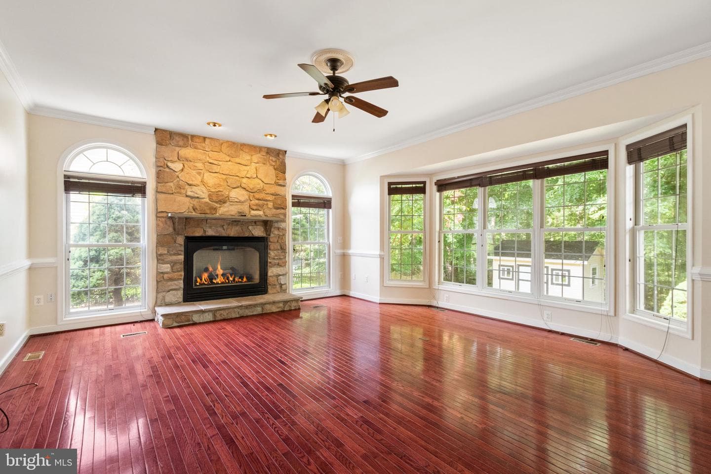46 Monument Drive photo 17