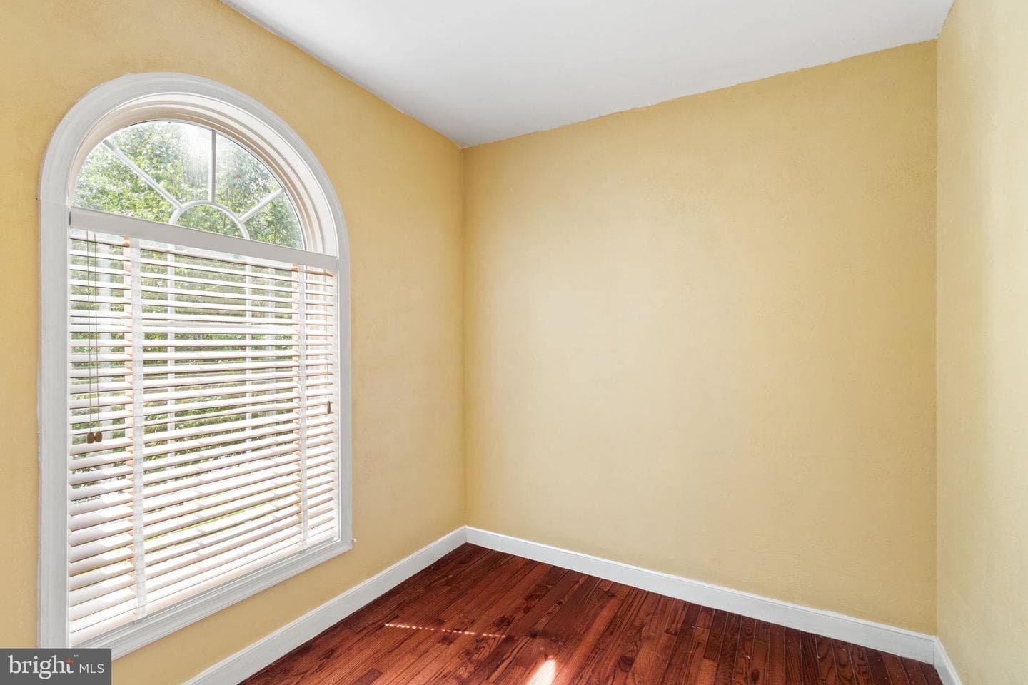 46 Monument Drive photo 21