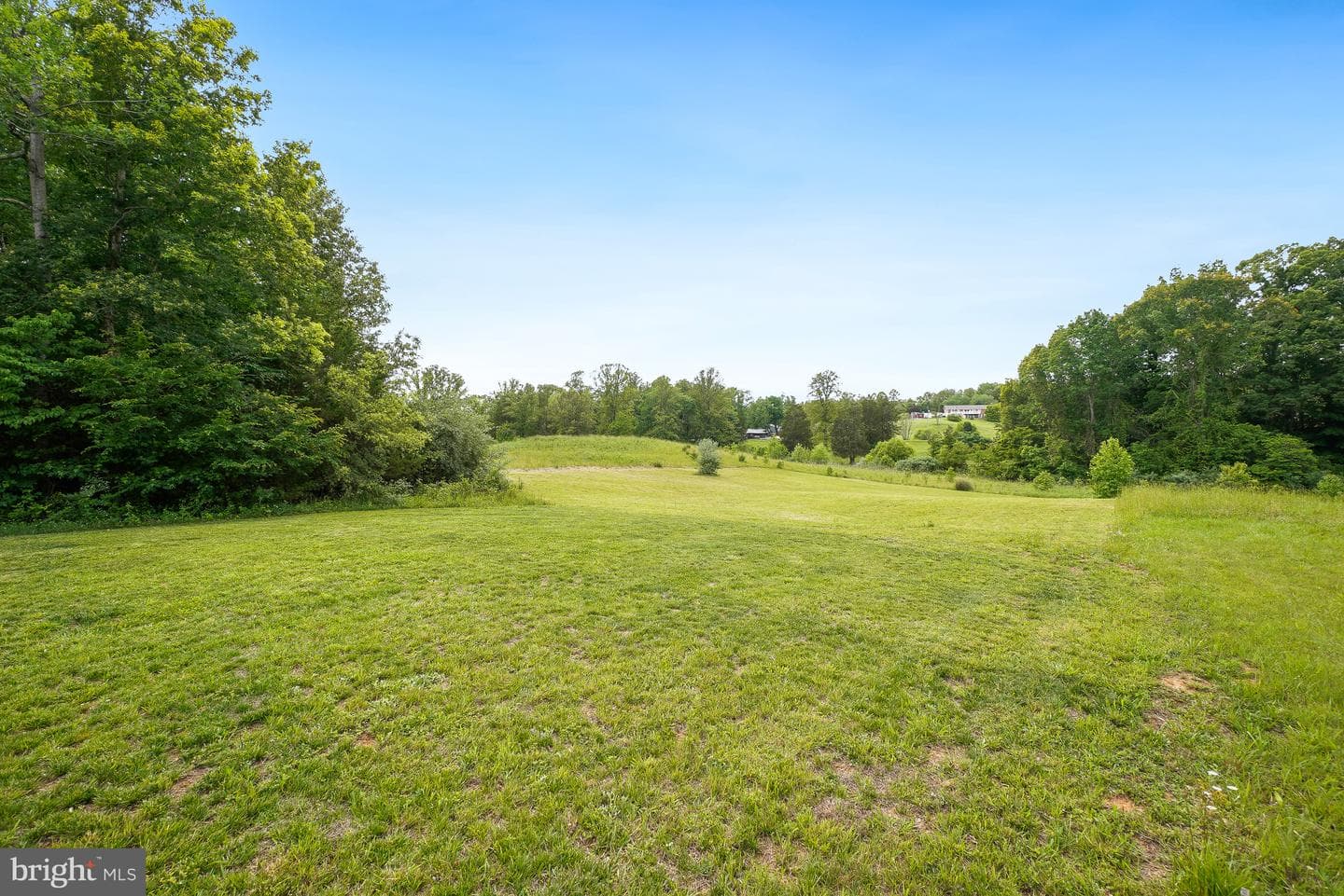 164 Dolittle Farm Road photo 60