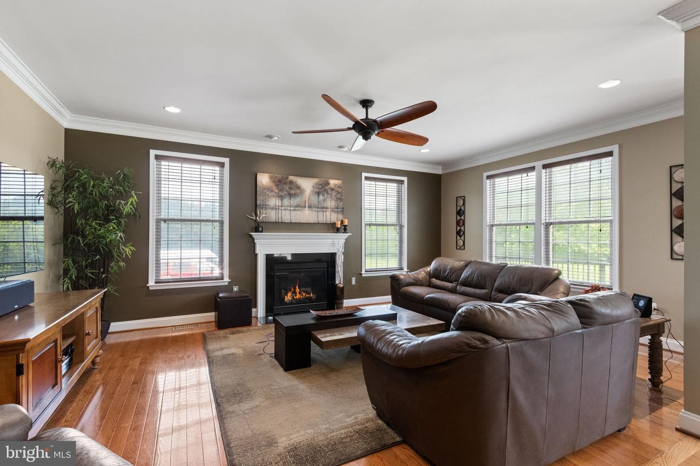 20 Gibson Drive photo 4