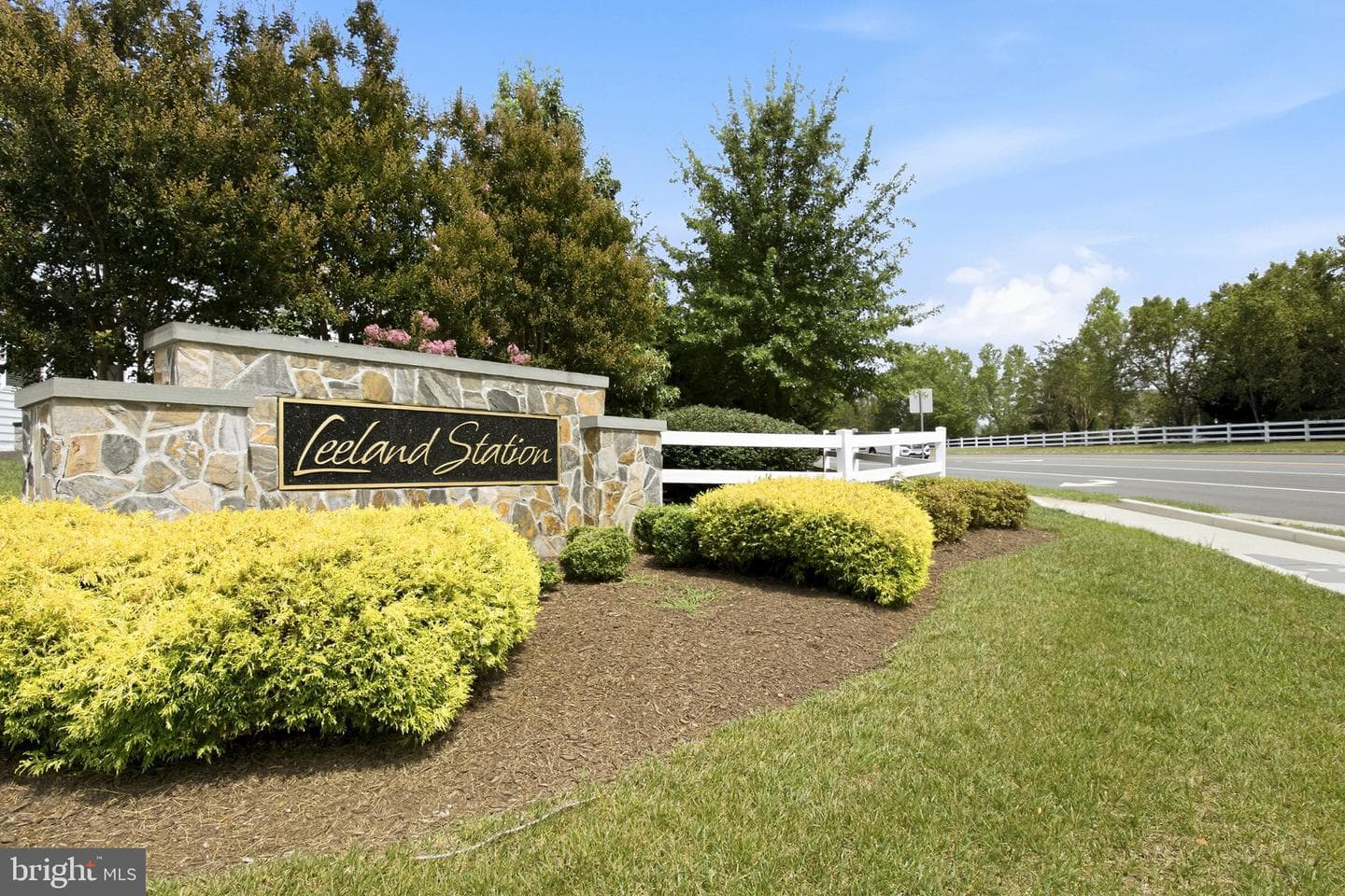 150 Riggs Road photo 59