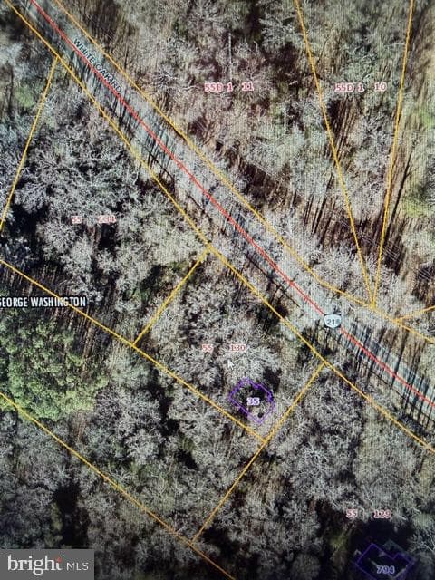 35 Boggy Creek photo 2