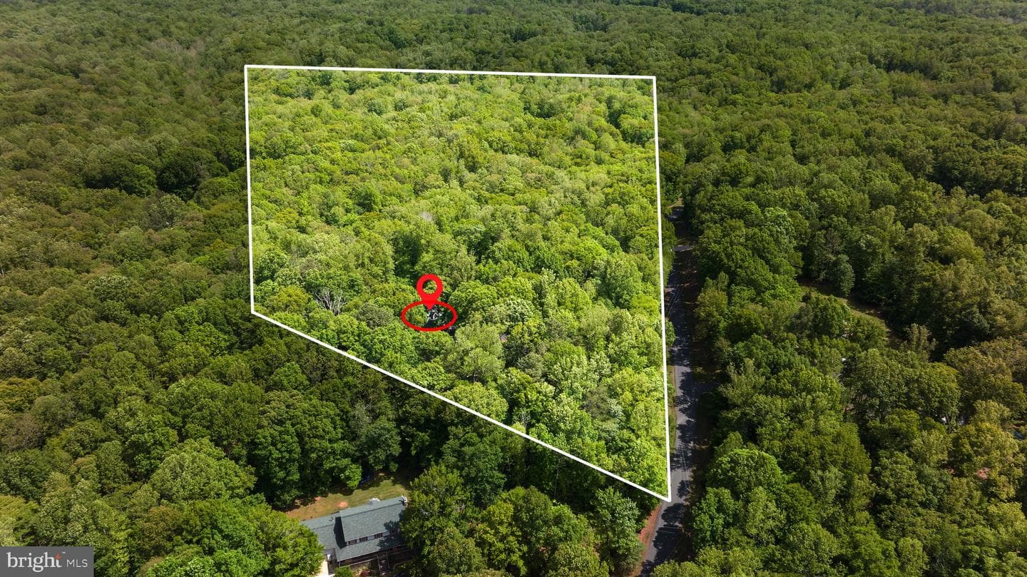 81 Lady Jane Lane photo 53