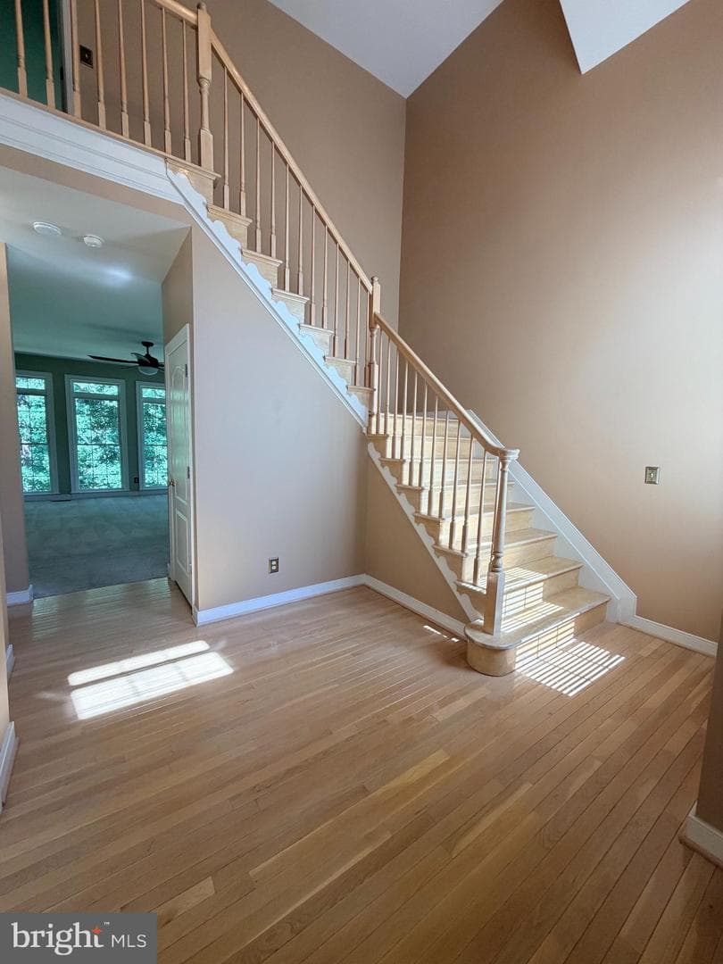 6 Bullrush Court photo 16