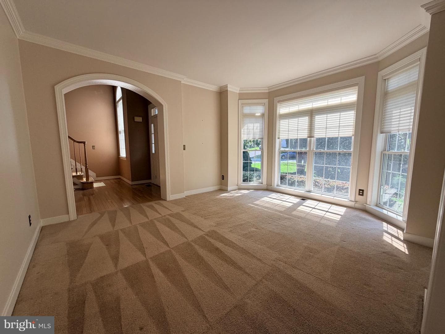 6 Bullrush Court photo 32