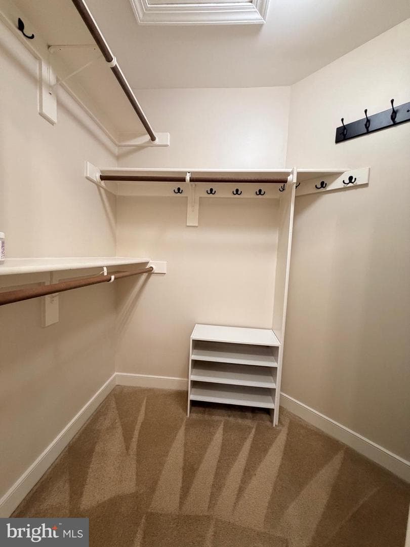 6 Bullrush Court photo 41