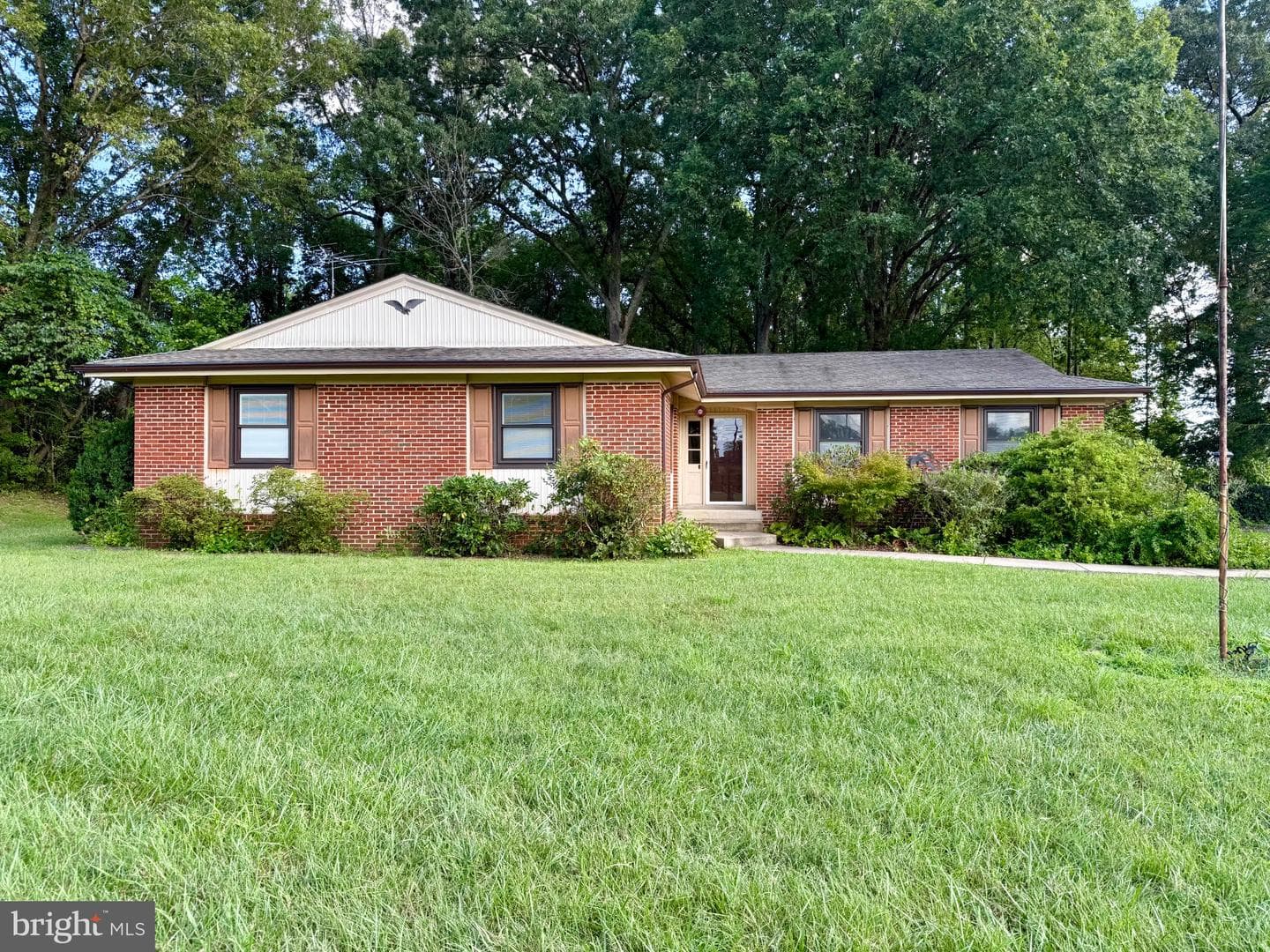 228 Hope photo 1