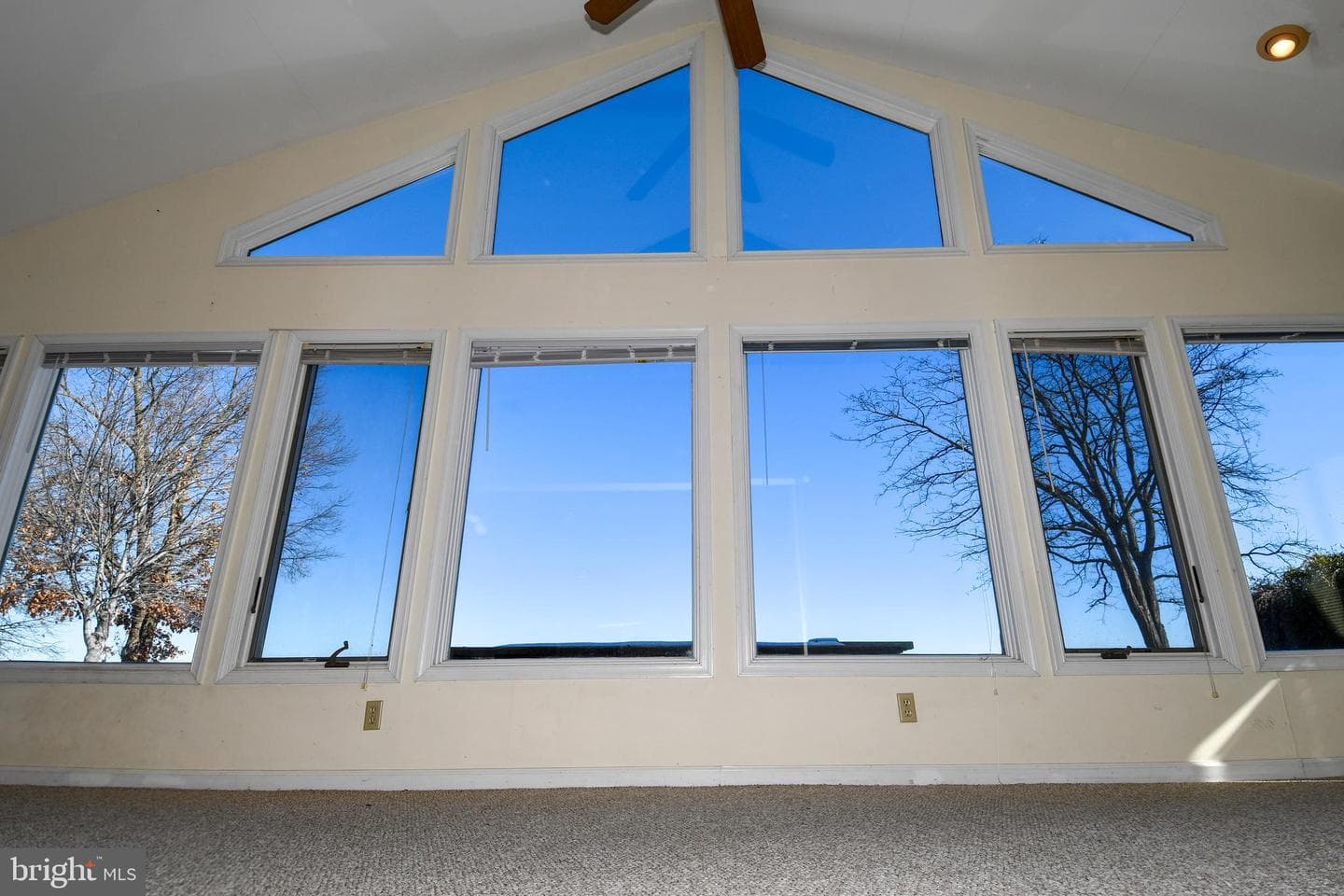 254 Shore Drive photo 26
