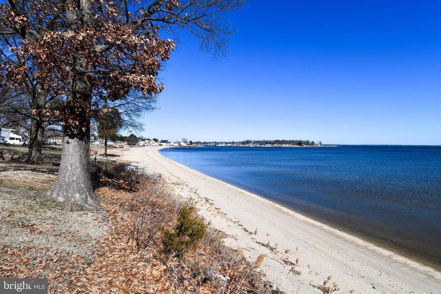 254 Shore Drive photo 45