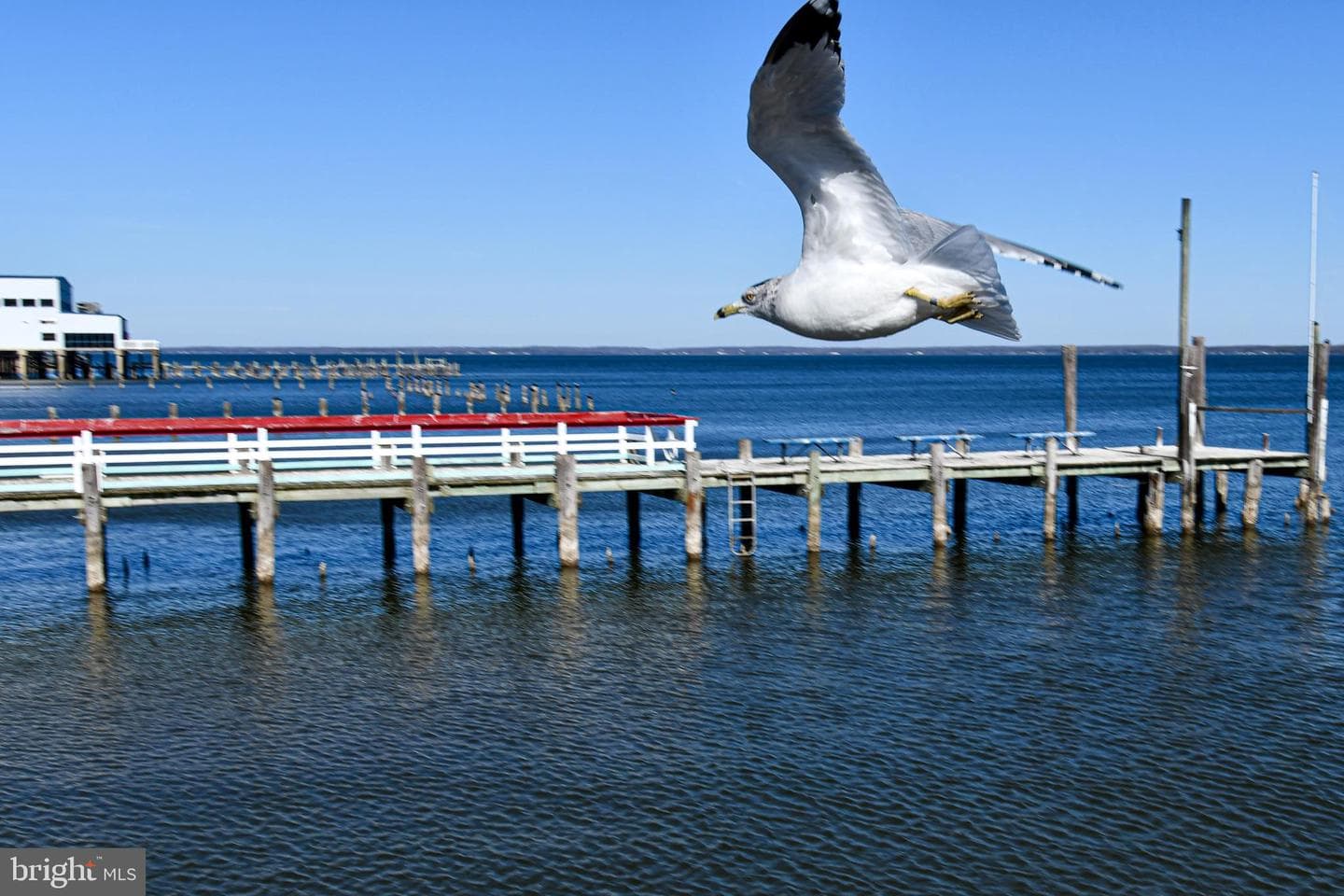 254 Shore Drive photo 63