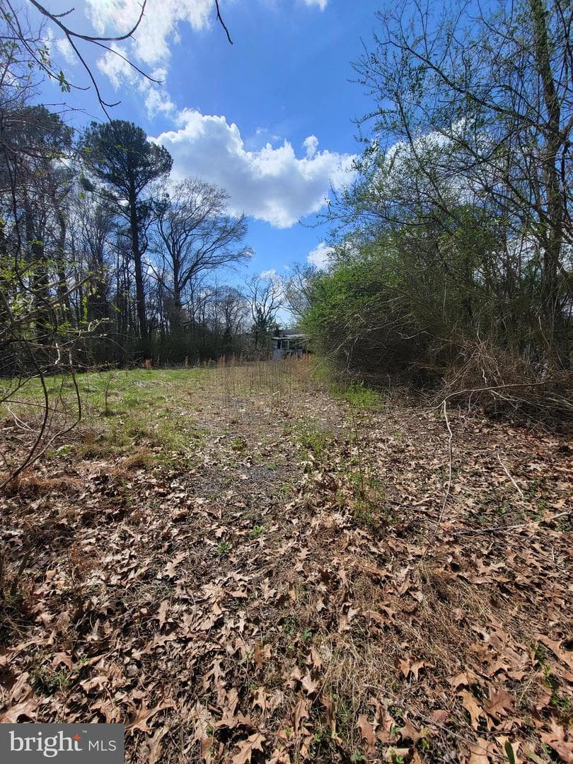 922 Skipjack Road photo 11