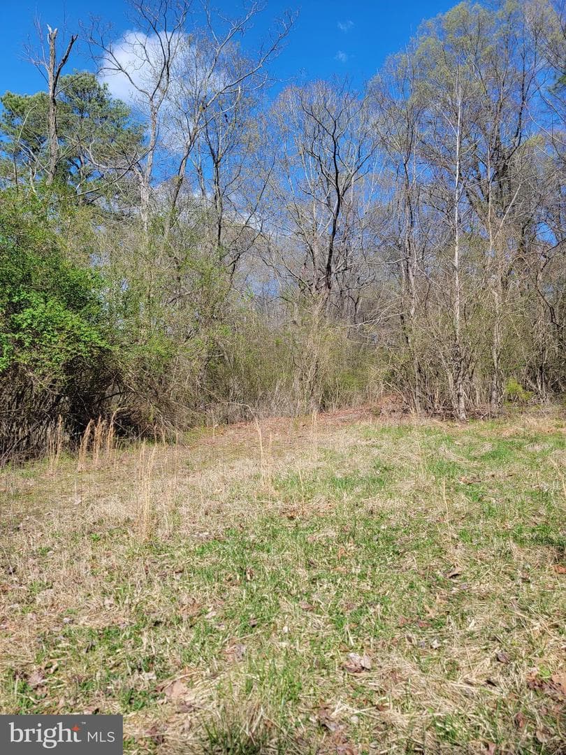 922 Skipjack Road photo 12
