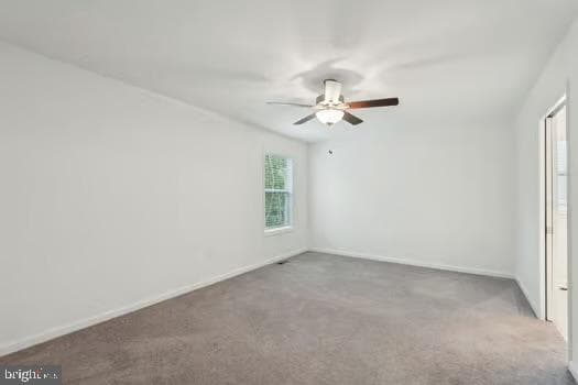 16 Placid Road photo 18