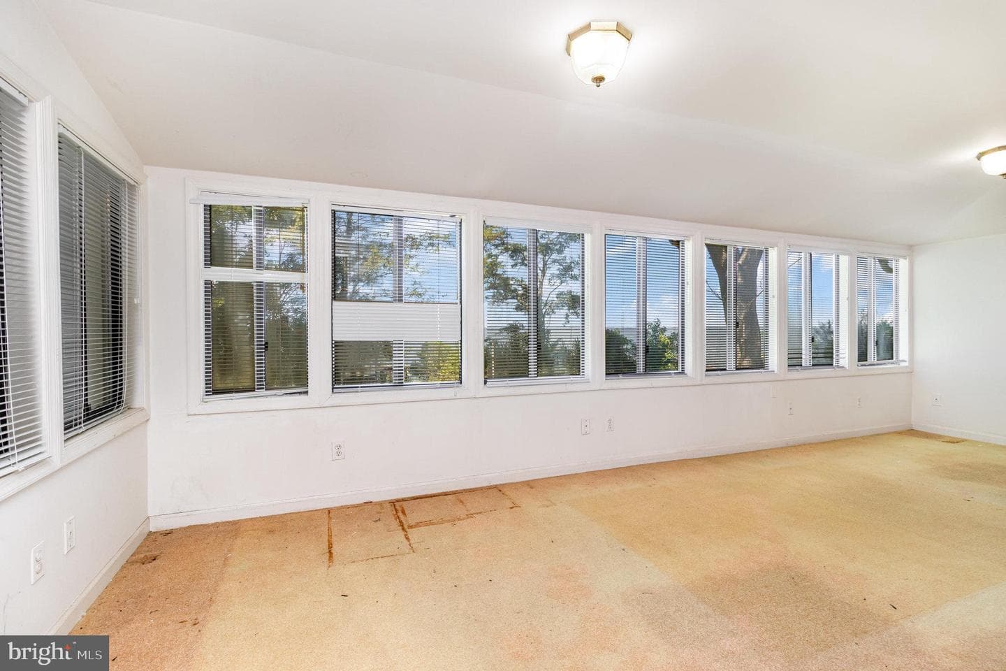 1364 Salisbury Park Road photo 26