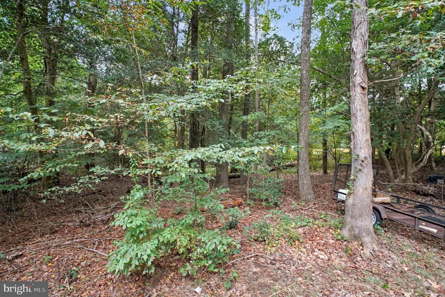 88 Carter photo 40