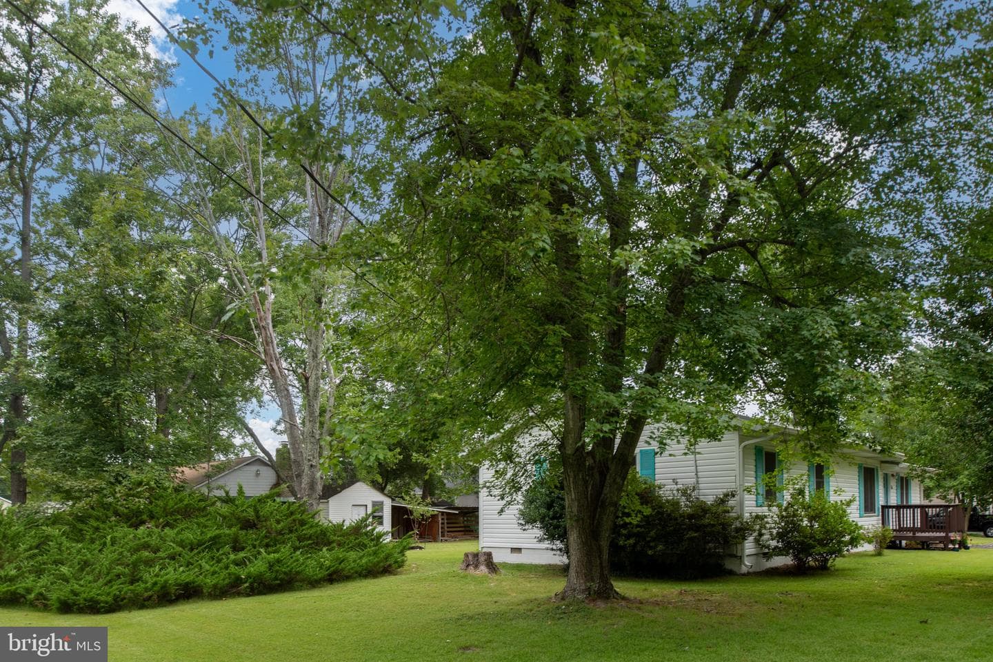 161 8th Street photo 49