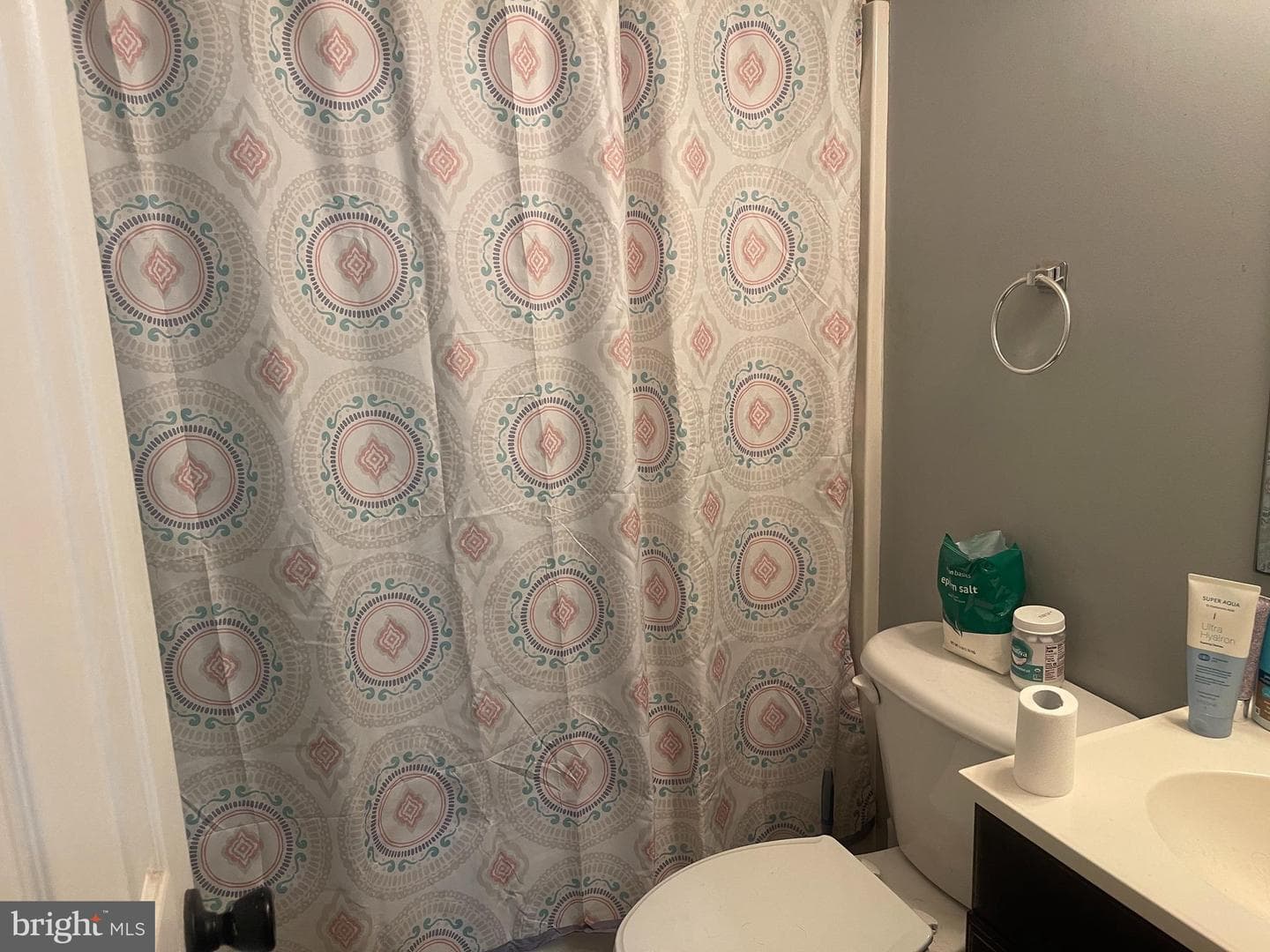 1287 Glebe Harbor Drive photo 10