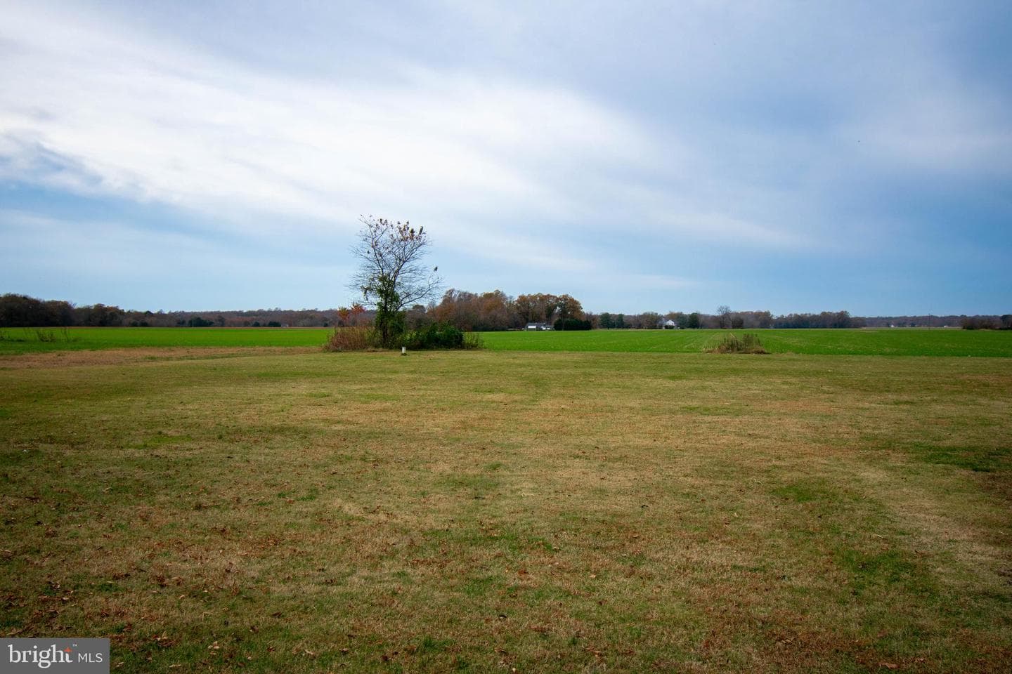 240 Sonnet Rd photo 11