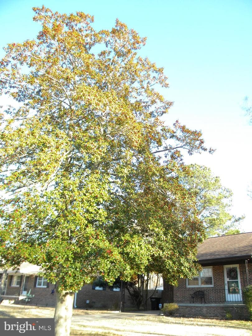 128 11th Street photo 76