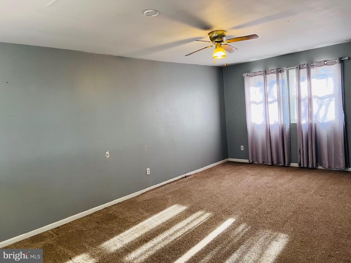 320 Cedar Avenue photo 22