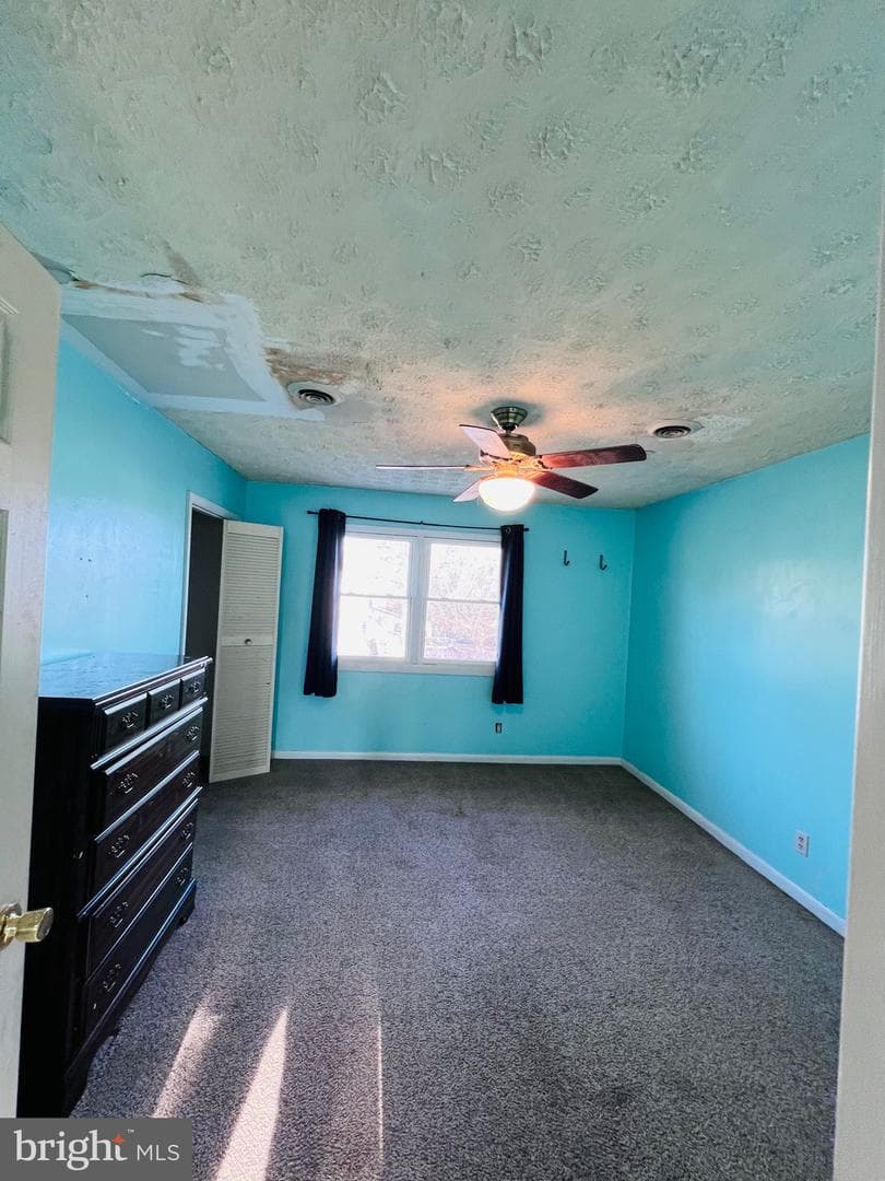320 Cedar Avenue photo 36