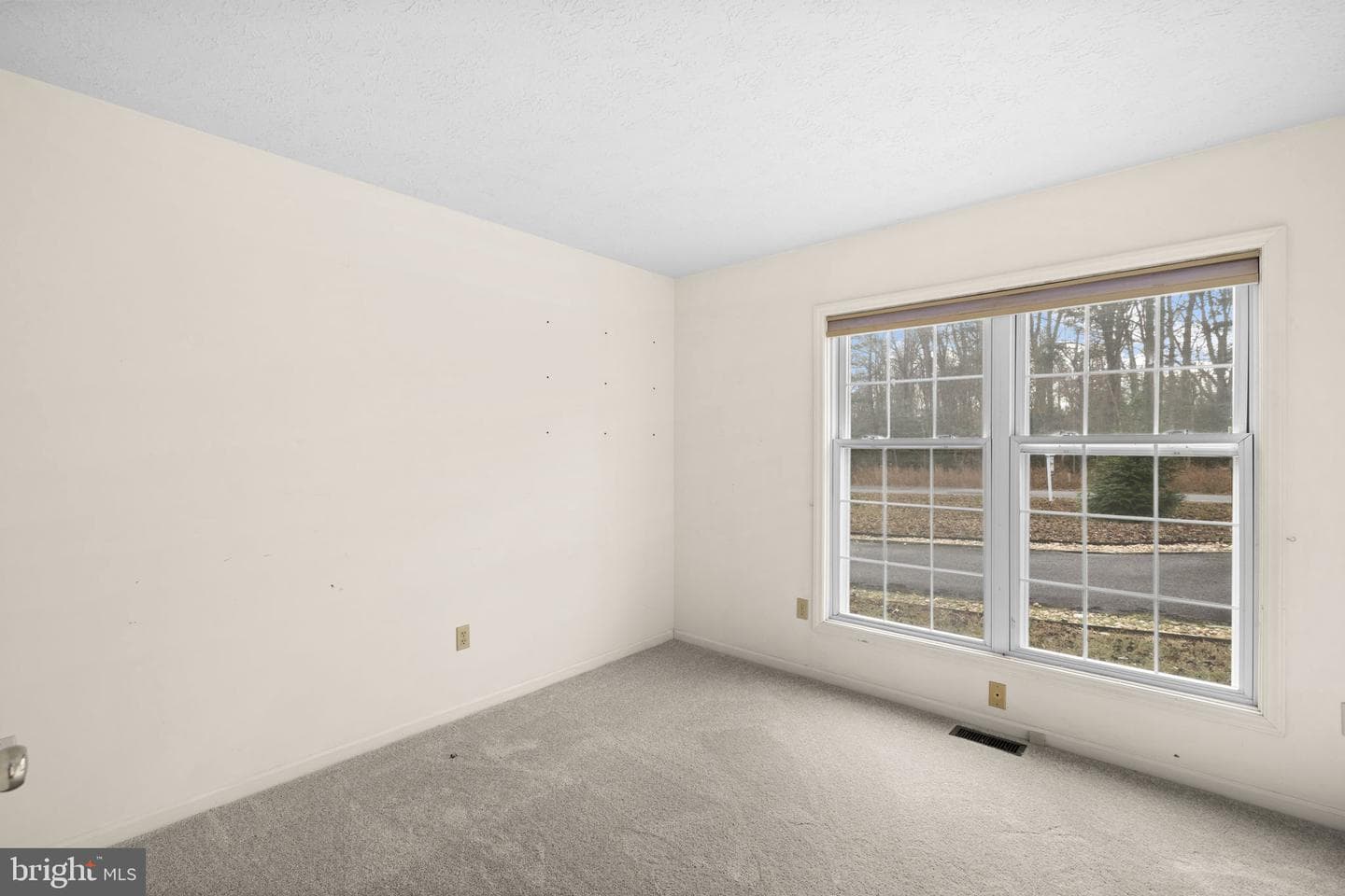 49 Grove Drive photo 16