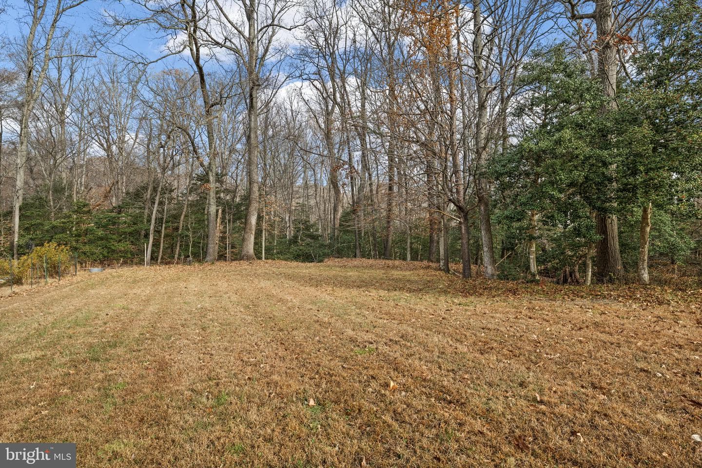 49 Grove Drive photo 32