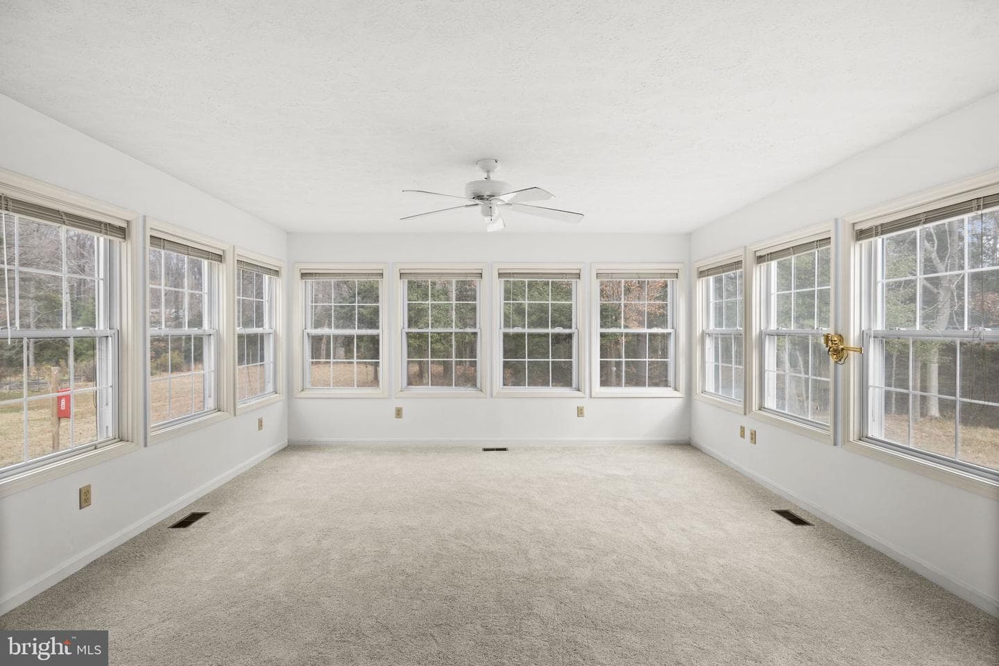 49 Grove Drive photo 6