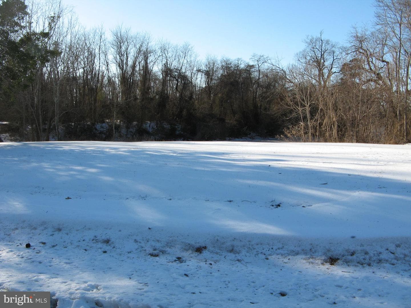 57 Oak Lane photo 42