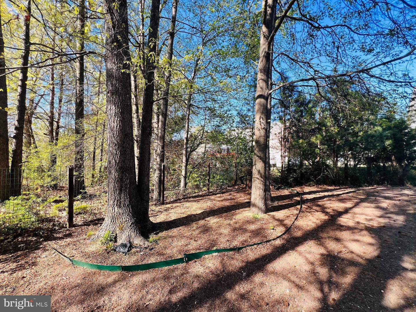 213 Forest Avenue photo 15