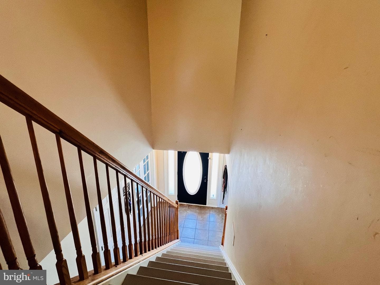 213 Forest Avenue photo 21