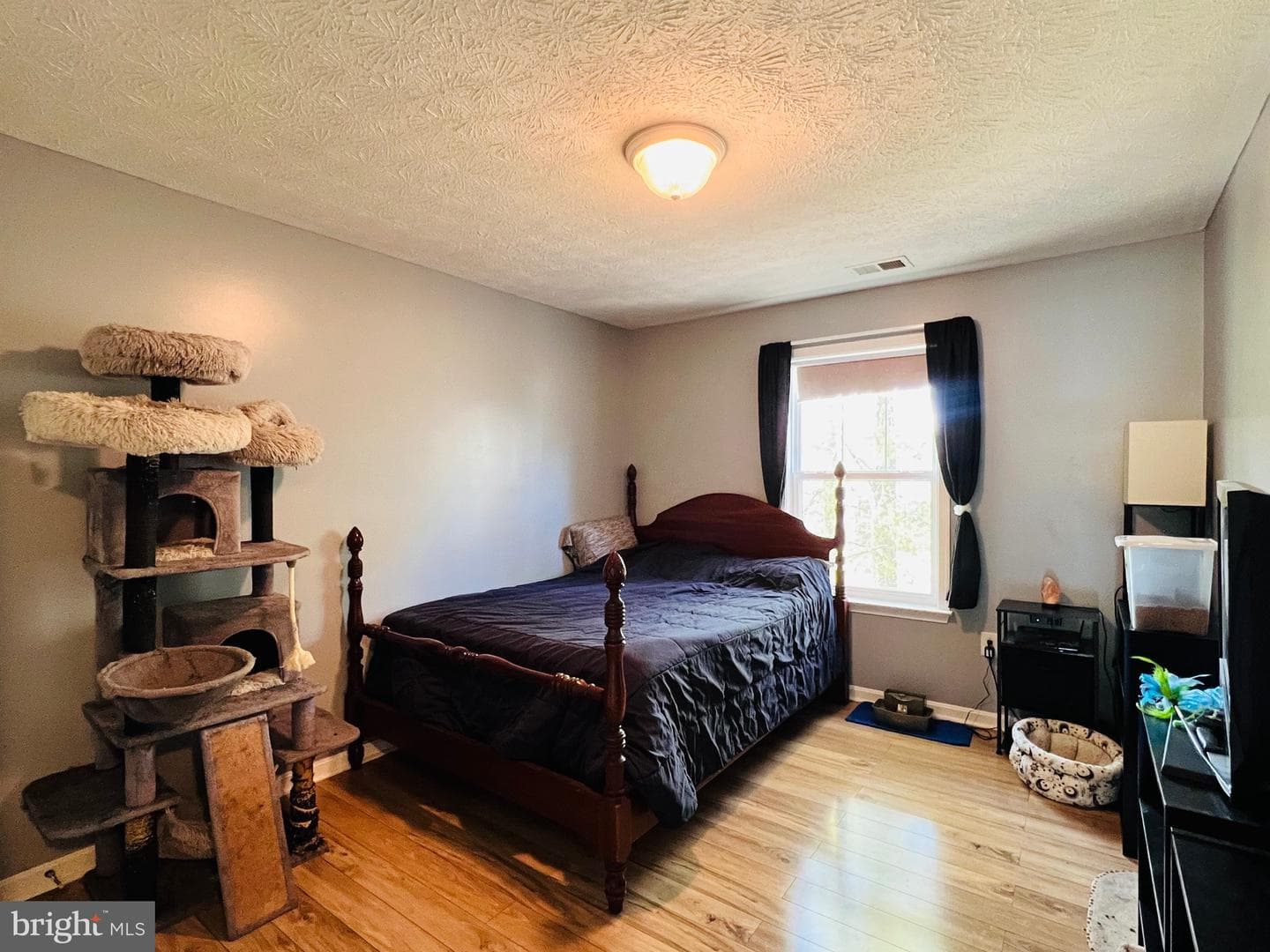 213 Forest Avenue photo 50