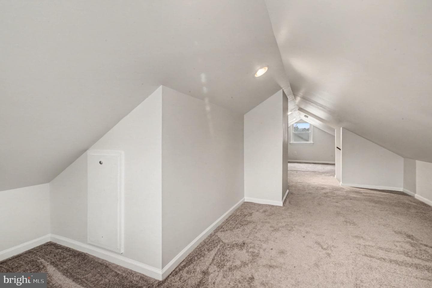 217 Locust Avenue photo 21