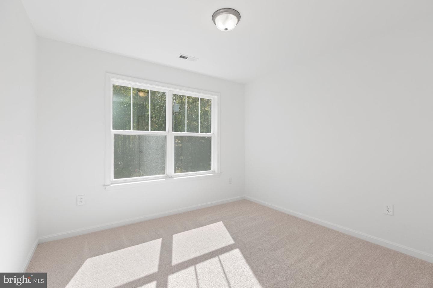 Lot 1 Monticello Drive photo 13