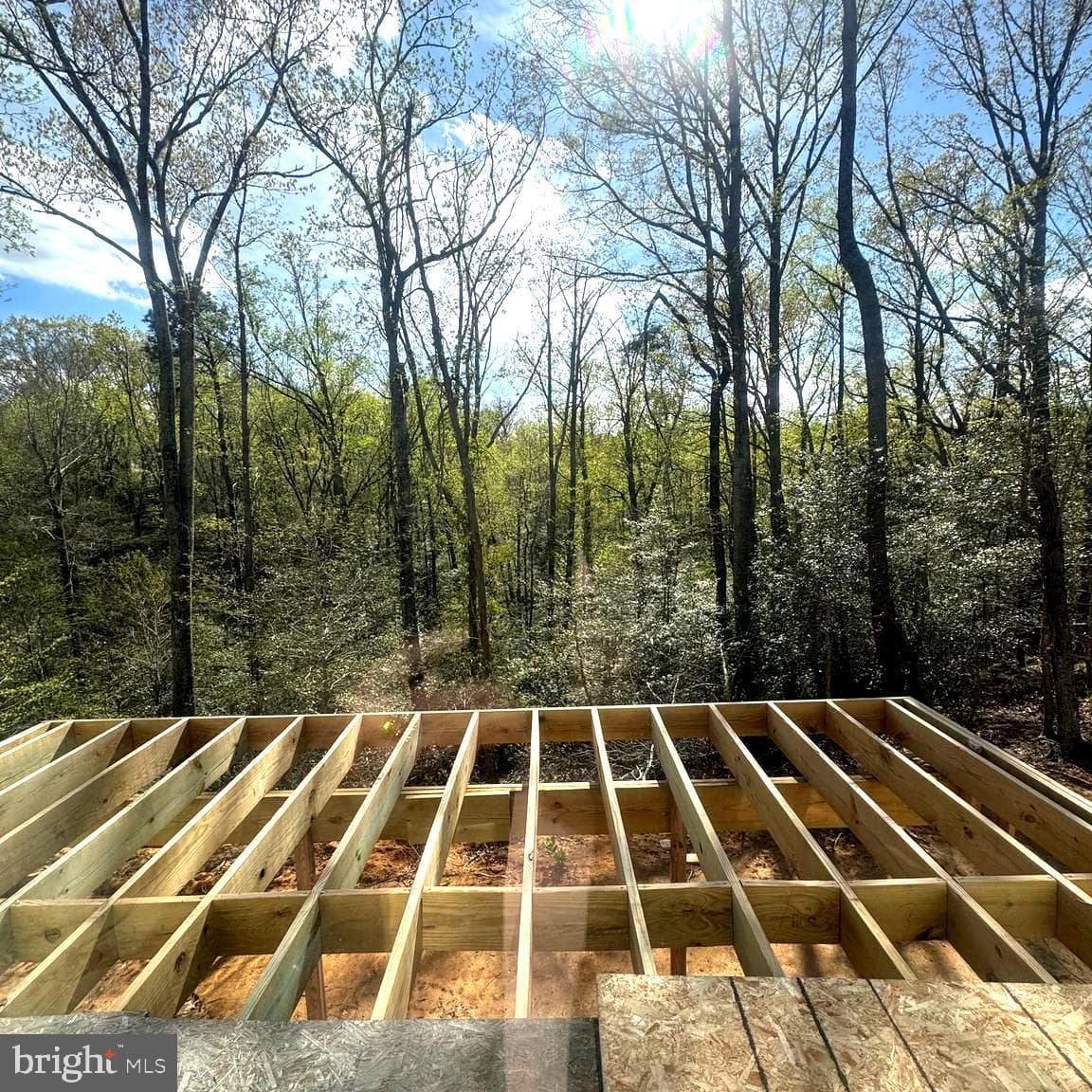209 Federalist Way photo 14