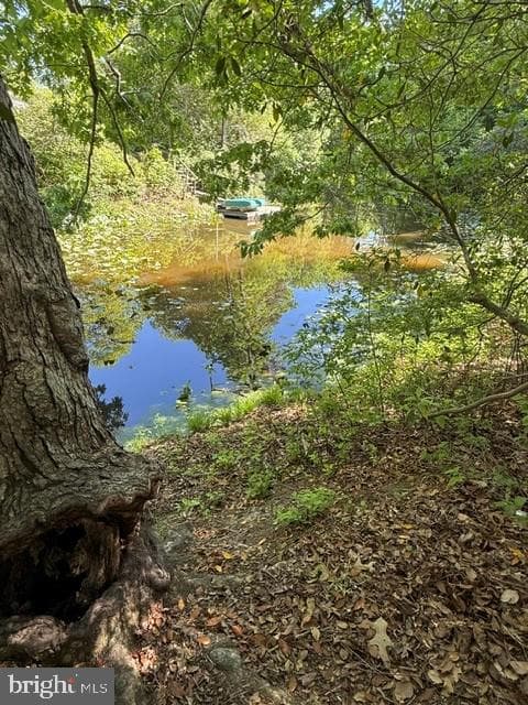32 Placid Rd photo 10