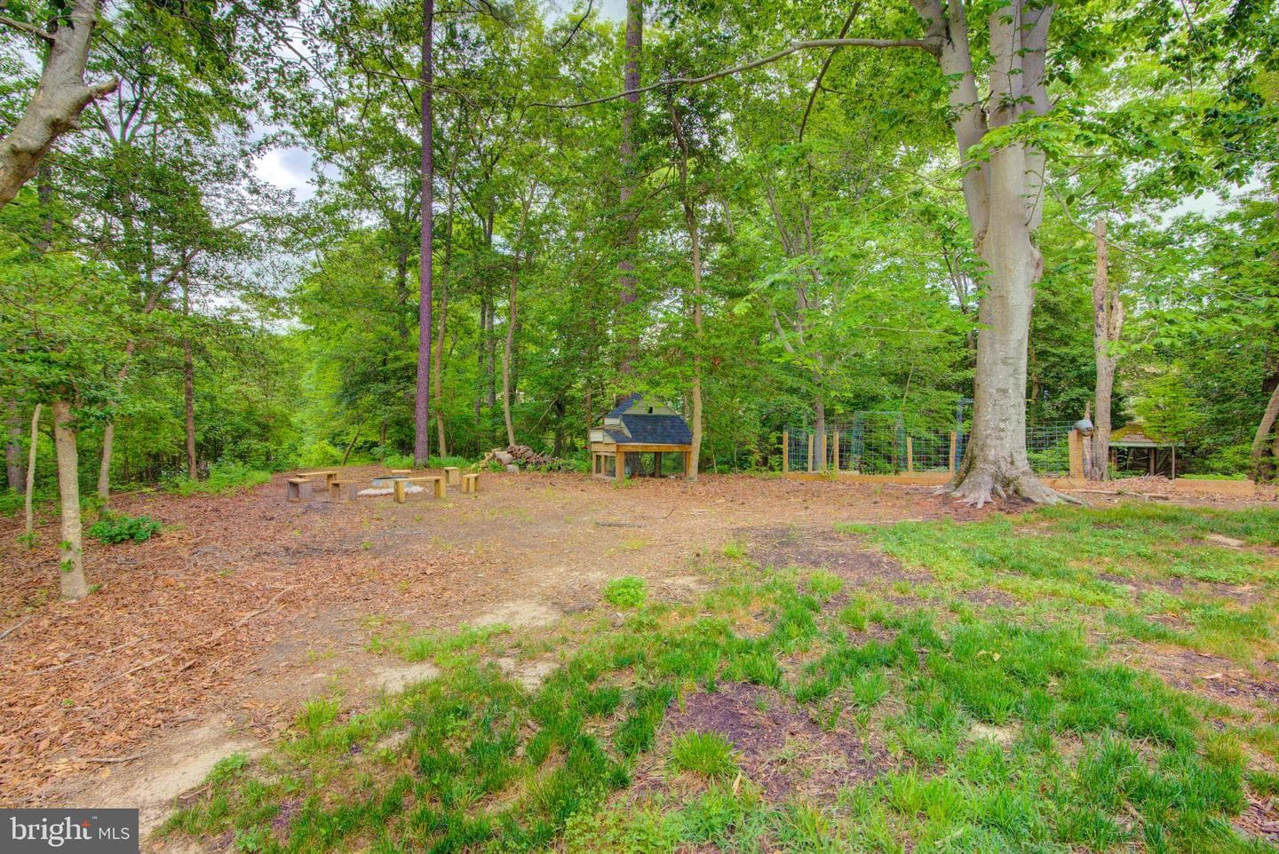 47 Magnolia Blvd (Former Cedar Lane) photo 9