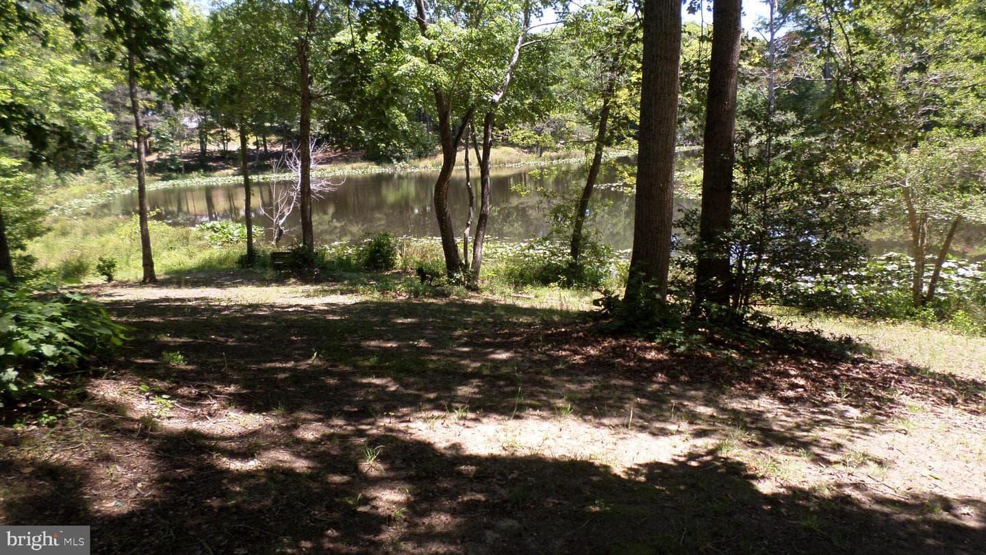 202 Baylor Drive photo 35