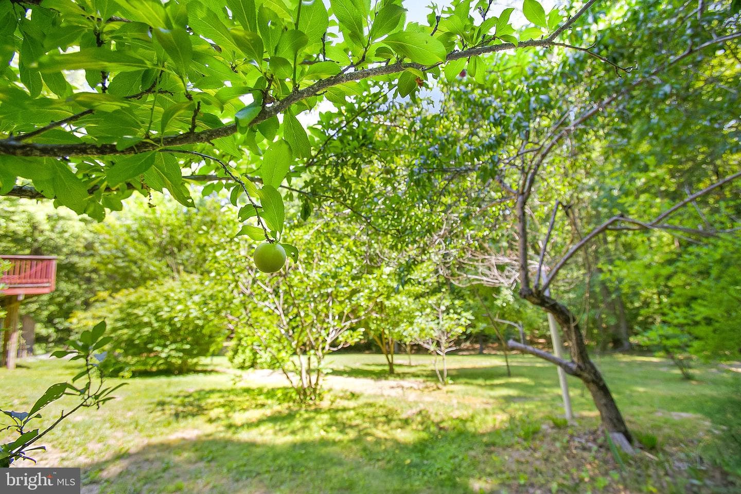 199 Settlers Lane photo 38