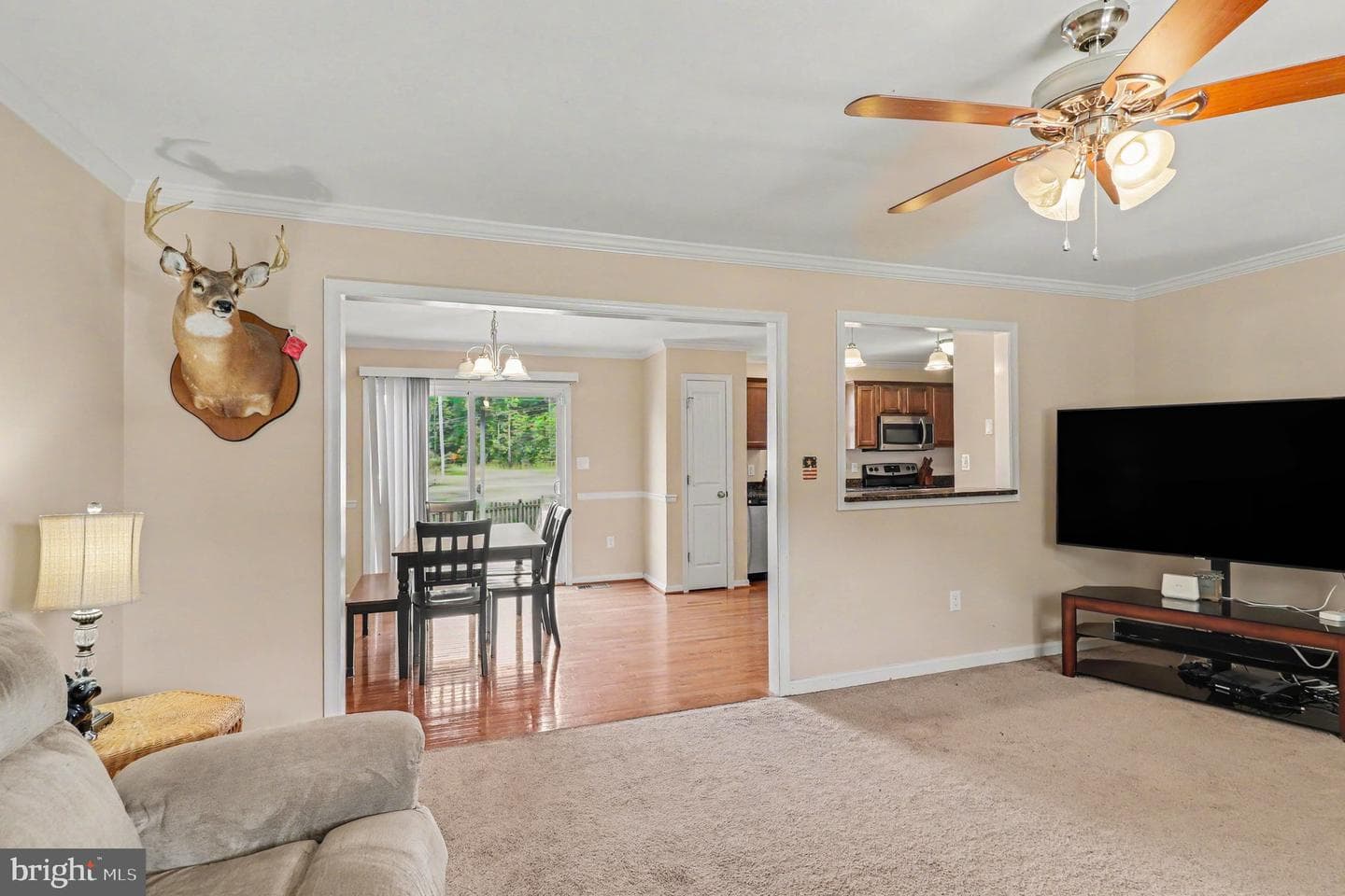 214 Richmond Road photo 5