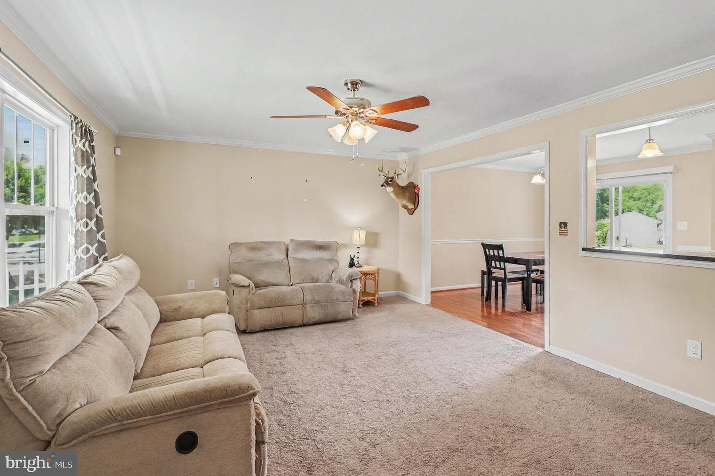 214 Richmond Road photo 6
