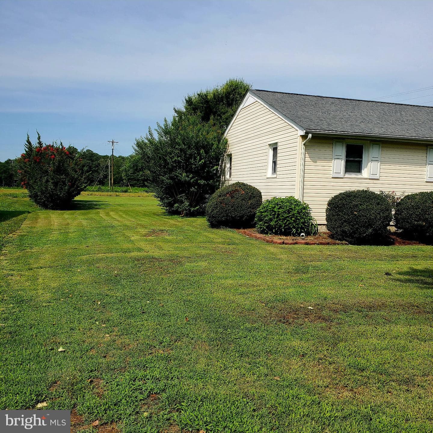 204 Chatham Village Road photo 29