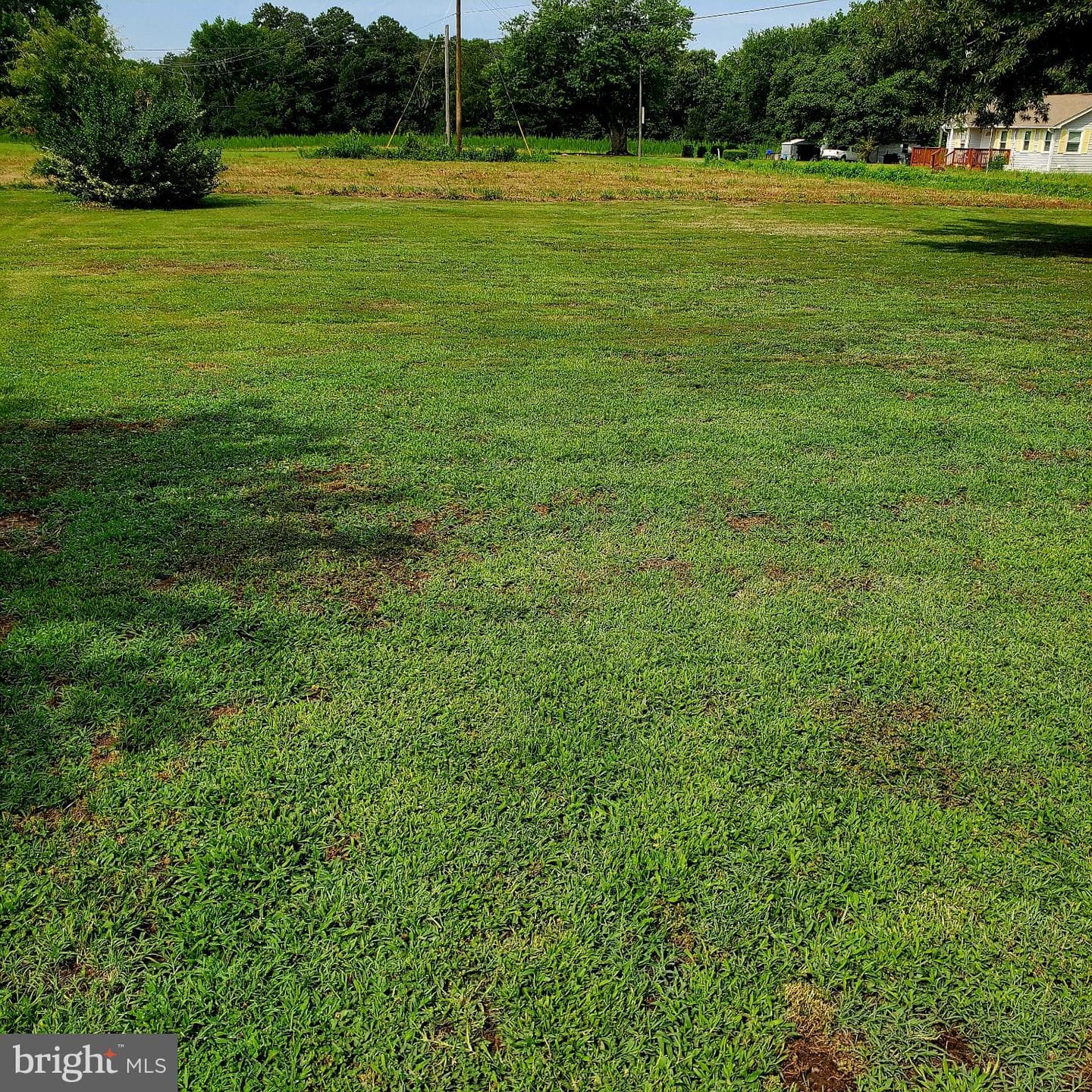 204 Chatham Village Road photo 8